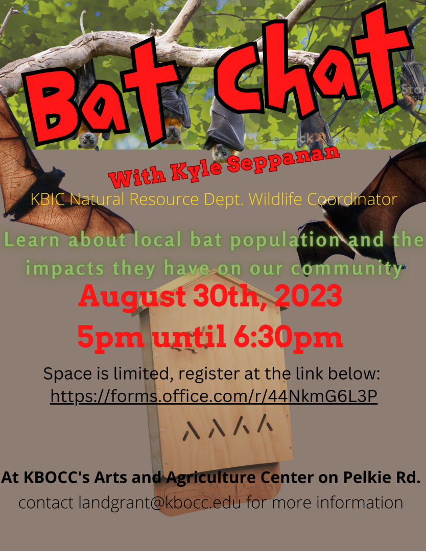 Bat Chat! - Keweenaw Bay Ojibwa Community College